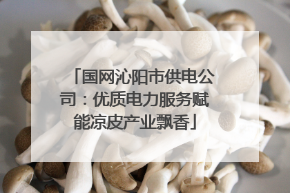 国网沁阳市供电公司：优质电力服务赋能凉皮产业飘香