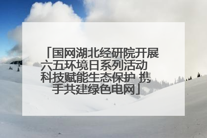 国网湖北经研院开展六五环境日系列活动 科技赋能生态保护 携手共建绿色电网