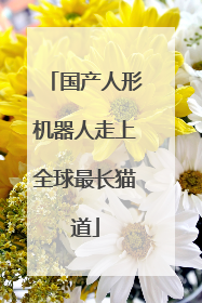 国产人形机器人走上全球最长猫道
