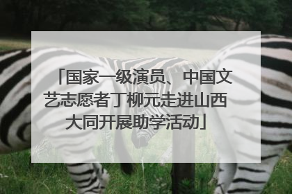 国家一级演员、中国文艺志愿者丁柳元走进山西大同开展助学活动