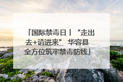 国际禁毒日丨“走出去+请进来” 华容县全方位筑牢禁毒防线