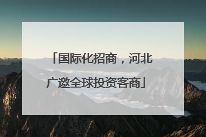 国际化招商，河北广邀全球投资客商