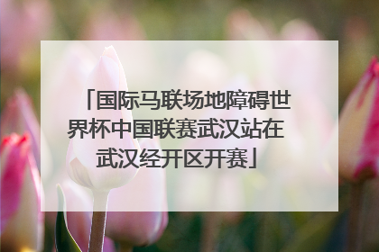 国际马联场地障碍世界杯中国联赛武汉站在武汉经开区开赛
