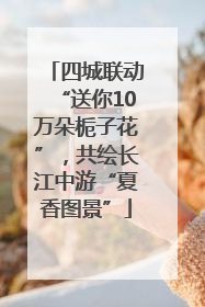 四城联动“送你10万朵栀子花”，共绘长江中游“夏香图景”
