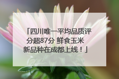 四川唯一平均品质评分超87分 鲜食玉米新品种在成都上线！