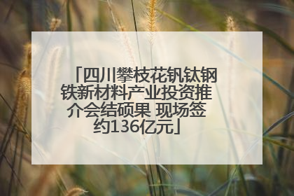 四川攀枝花钒钛钢铁新材料产业投资推介会结硕果 现场签约136亿元