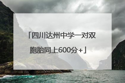 四川达州中学一对双胞胎同上600分+