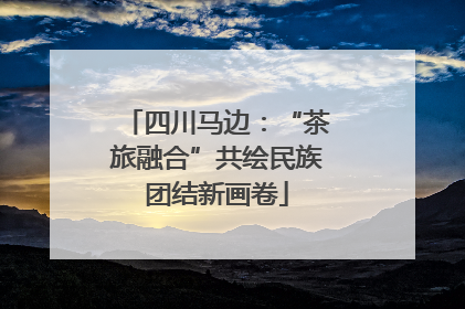 四川马边：“茶旅融合”共绘民族团结新画卷