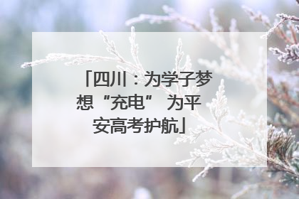 四川：为学子梦想“充电” 为平安高考护航