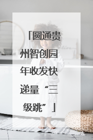 圆通贵州智创园年收发快递量“三级跳”