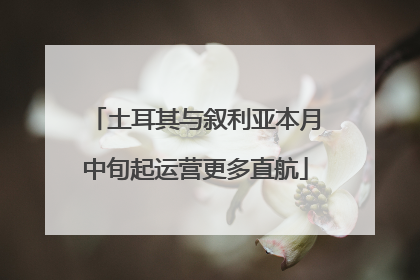 土耳其与叙利亚本月中旬起运营更多直航