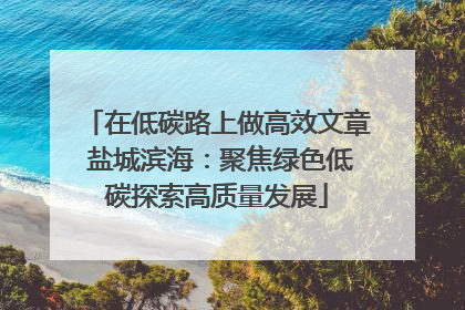 在低碳路上做高效文章 盐城滨海：聚焦绿色低碳探索高质量发展