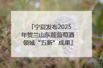 宁夏发布2025年贺兰山东麓葡萄酒领域“五新”成果