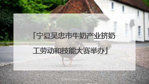 宁夏吴忠市牛奶产业挤奶工劳动和技能大赛举办