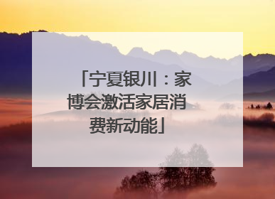 宁夏银川：家博会激活家居消费新动能