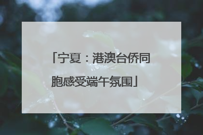 宁夏：港澳台侨同胞感受端午氛围