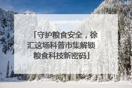 守护粮食安全，徐汇这场科普市集解锁粮食科技新密码
