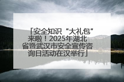 安全知识“大礼包”来啦！2025年湖北省暨武汉市安全宣传咨询日活动在汉举行