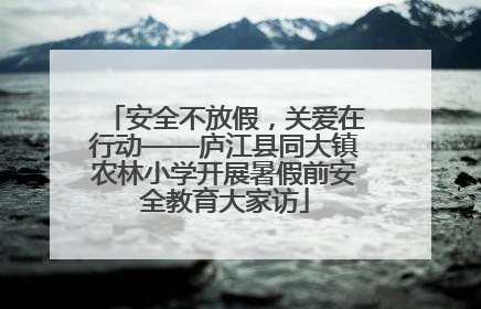 安全不放假，关爱在行动——庐江县同大镇农林小学开展暑假前安全教育大家访