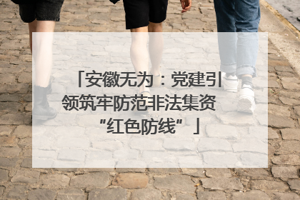 安徽无为：党建引领筑牢防范非法集资“红色防线”