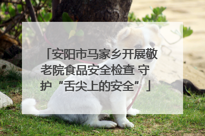 安阳市马家乡开展敬老院食品安全检查 守护“舌尖上的安全”