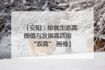 安阳：绘就生态高颜值与发展高质量 “双高” 画卷