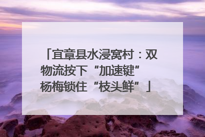宜章县水浸窝村：双物流按下“加速键” 杨梅锁住“枝头鲜”