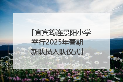 宜宾筠连景阳小学举行2025年春期新队员入队仪式