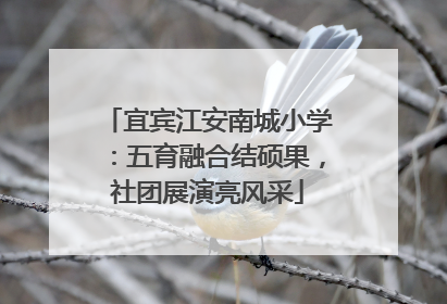宜宾江安南城小学：五育融合结硕果，社团展演亮风采