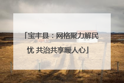 宝丰县：网格聚力解民忧 共治共享暖人心