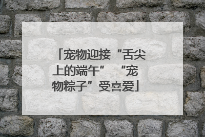 宠物迎接“舌尖上的端午” “宠物粽子”受喜爱