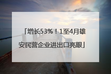 增长53%！1至4月雄安民营企业进出口亮眼