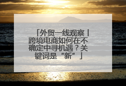 外贸一线观察丨跨境电商如何在不确定中寻机遇？关键词是“新”