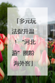 多元玩法促升温！“河北游”圈粉海外客