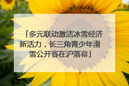 多元联动激活冰雪经济新活力，长三角青少年滑雪公开赛在沪落幕