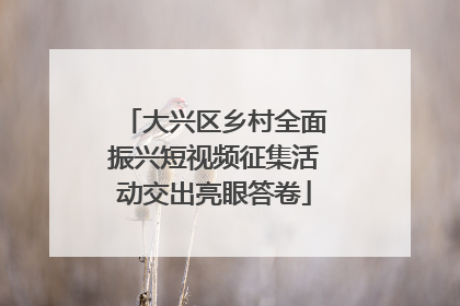 大兴区乡村全面振兴短视频征集活动交出亮眼答卷