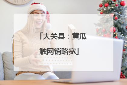 大关县：黄瓜触网销路宽