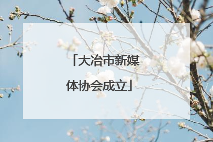 大冶市新媒体协会成立