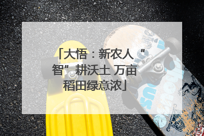 大悟：新农人“智”耕沃土 万亩稻田绿意浓