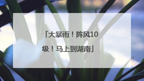 大暴雨！阵风10级！马上到湖南