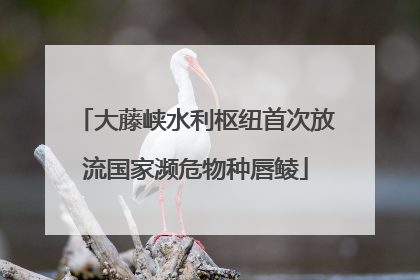 大藤峡水利枢纽首次放流国家濒危物种唇鲮