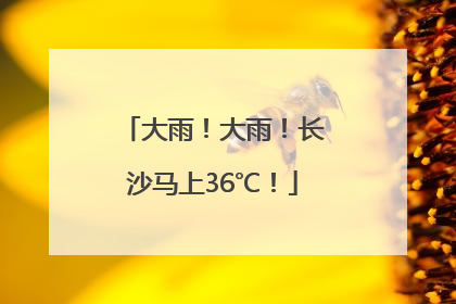 大雨！大雨！长沙马上36℃！