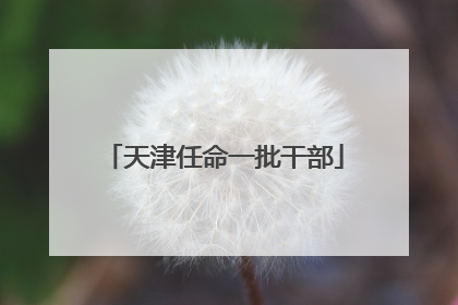 天津任命一批干部