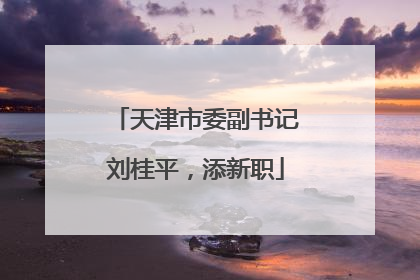 天津市委副书记刘桂平，添新职