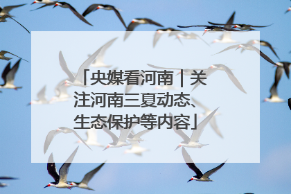 央媒看河南｜关注河南三夏动态、生态保护等内容