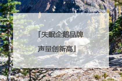 失眠企鹅品牌声量创新高