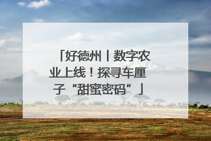 好德州丨数字农业上线！探寻车厘子“甜蜜密码”
