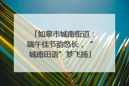 如皋市城南街道：端午佳节韵悠长，“城南田语”梦飞扬
