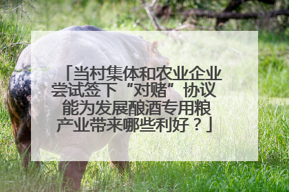 当村集体和农业企业尝试签下“对赌”协议 能为发展酿酒专用粮产业带来哪些利好？