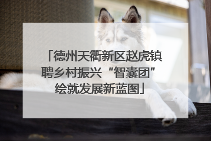 德州天衢新区赵虎镇聘乡村振兴“智囊团” 绘就发展新蓝图
